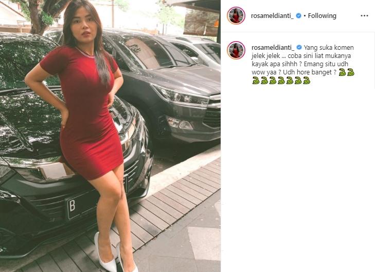 Meldi (Instagram/@rosameldianti_)