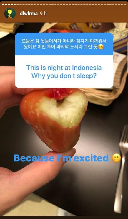 Penyanyi IU di Jakarta (Instagram/@dlwlrma)