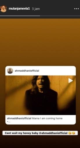 Curhat Mulan Jameela jelang kebebasan Ahmad Dhani. [Instagram]
