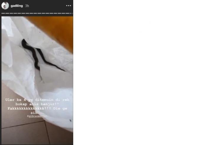 Ditemukan 4 ular di rumah keluarga Gading Marten (Instagram @gadiiing)