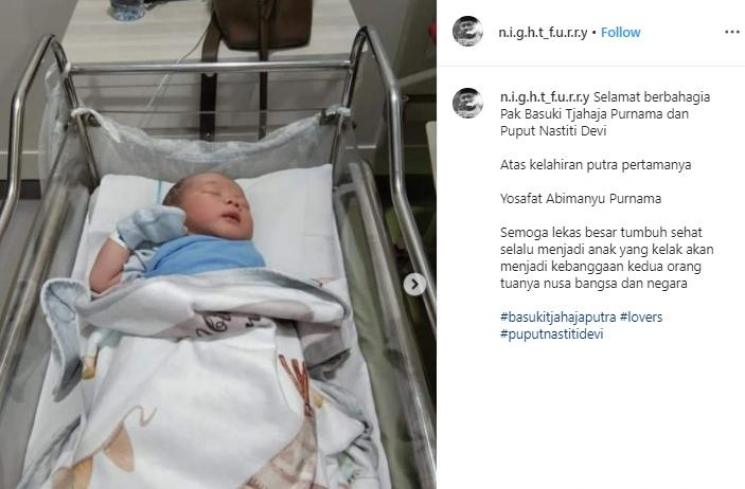 Bayi Ahok dan Puput (Instagram/@n.i.g.h.t.f.u.r.r.y)
