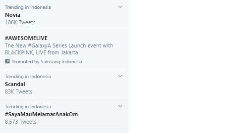 Novia Indonesian Idol. (Twitter)