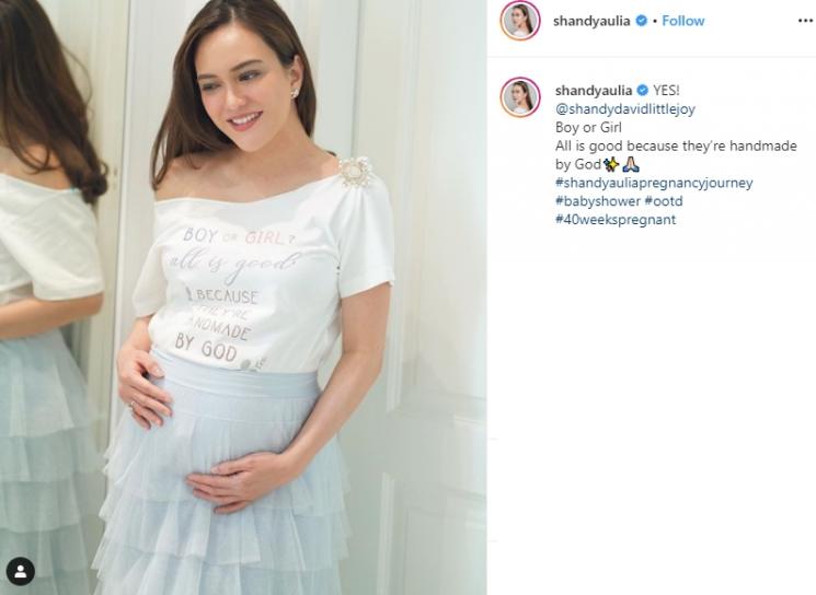 Baby Shower Shandy Aulia (Instagram/@shandyaulia)
