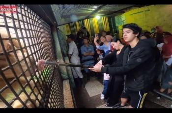 Alyssa Daguise di tengah keluarga Ahmad Dhani. (Youtube/VideoLegend)
