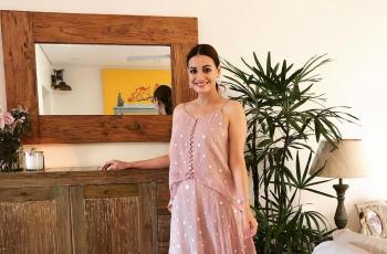 Dia Mirza (Instagram/@diamirzaofficial)