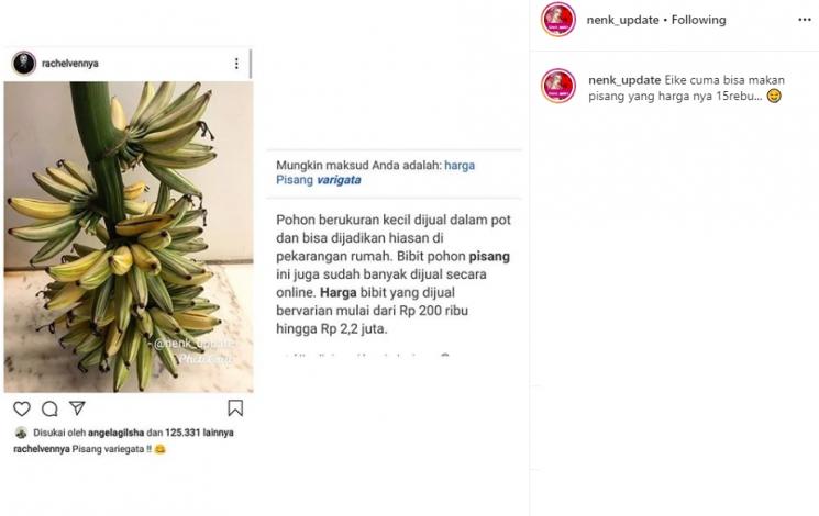 Pohon pisang Rachel Vennya (Instagram/@nenk_update)