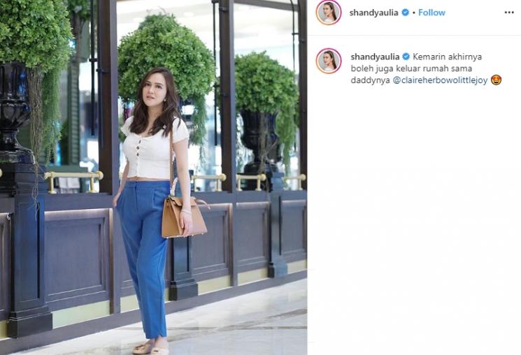 Shandy Aulia (Instagram/@shandyaulia)