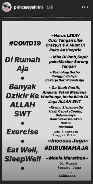 Instagram Stories Syahrini (Instagram/@princessyahrini)