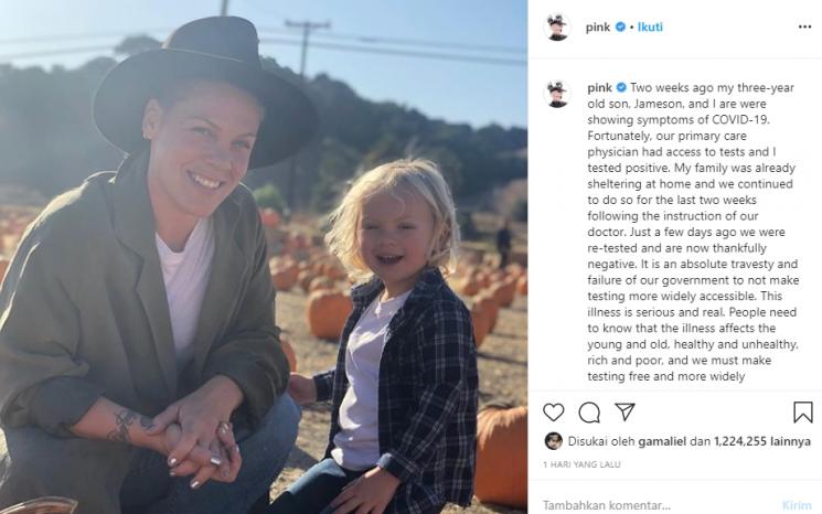 Penyanyi Pink (Instagram/@pink)