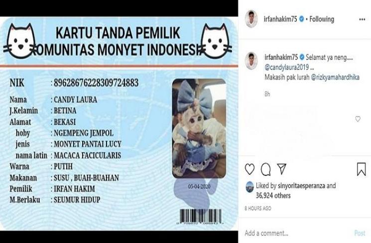 Monyet betina Irfan Hakim, Candy Laura punya KTP (Instagram @irfanhakim75)