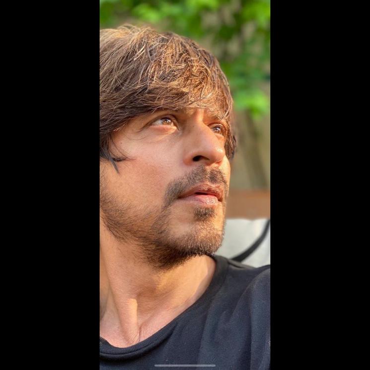 Shah Rukh Khan (Instagram/@iamsrk)