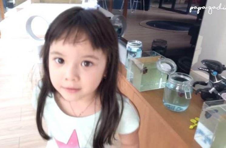 Gisella Anastasia pelihara ikan cupang. (Youtube/PapaGading)
