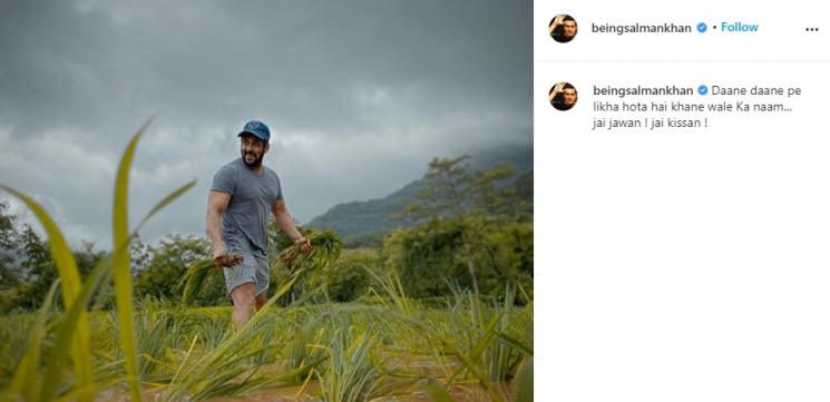 Salman Khan bajak sawah. (Instagram/@beingsalmankhan)