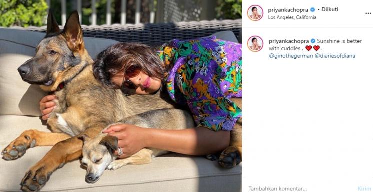 Priyanka Chopra (Instagram/@priyankachopra)