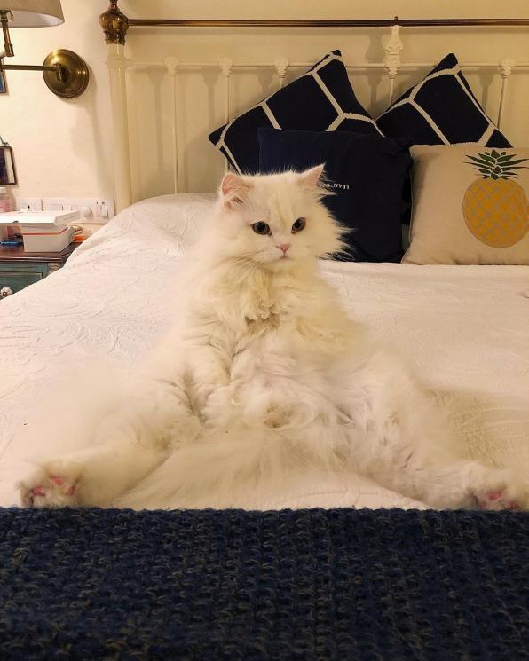Apartemen mewah Alia Bhatt (Instagram/@shaheenb)