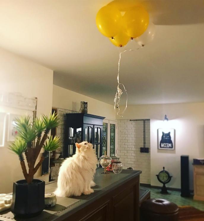 Apartemen mewah Alia Bhatt (Instagram/@shaheenb)