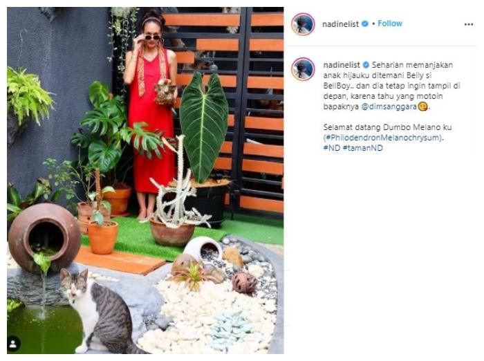 Sudut rumah Nadine Chandrawinata. (Instagram/@nadinelist)