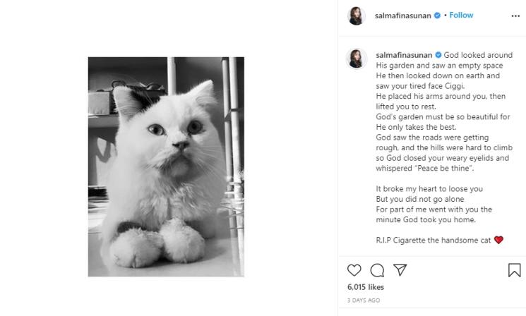 Kucing Salmafina Sunan (Instagram/@salmafinasunan)