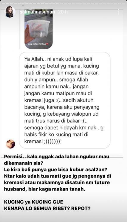 Kucing Salmafina Sunan (Instagram/@salmafinasunan)