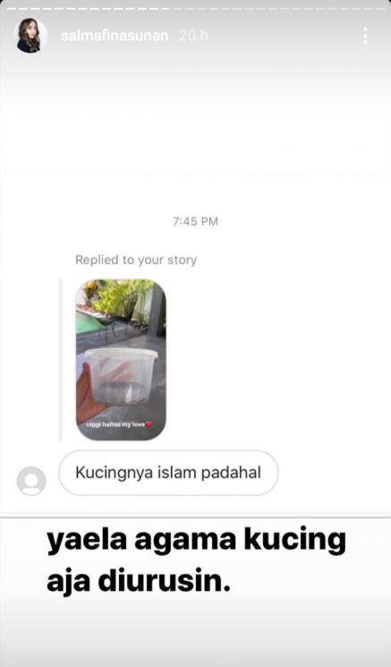 Kucing Salmafina Sunan (Instagram/@salmafinasunan)
