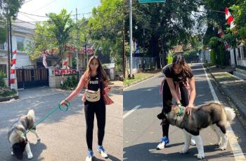 Nangis Gara-gara Kangen, 3 Potret Nia Ramadhani Bareng Anjing Peliharaan