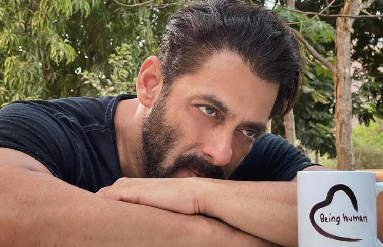 Salman Khan (Instagram/@beingsalmankhan)