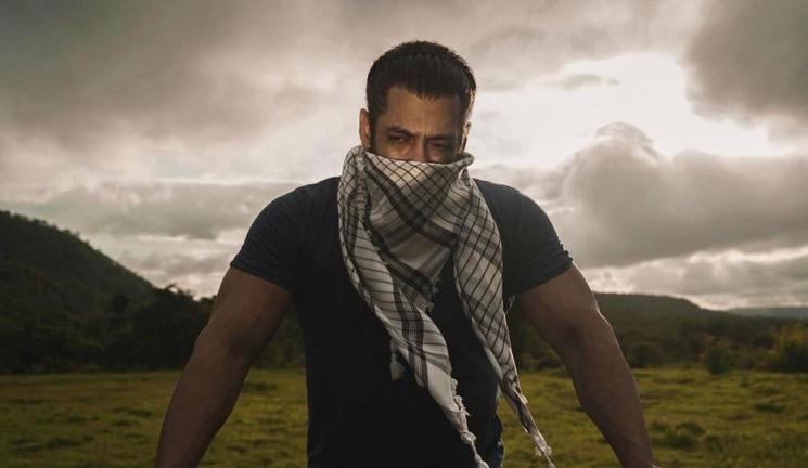 Salman Khan (Instagram/@beingsalmankhan)