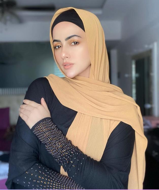 Sana Khan (Instagram/@sanakhaan21)