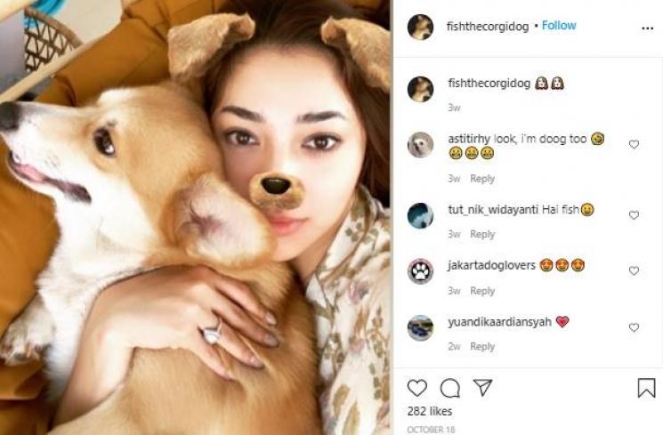 Nikita Willy dan anjingnya (Instagram.com)