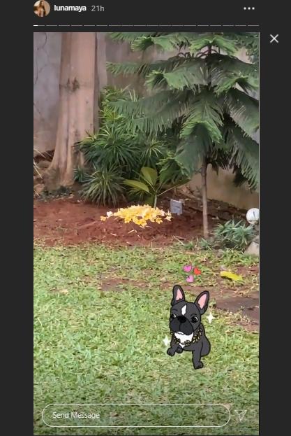 Makam anjing Luna Maya (Instagram.com/lunamaya)