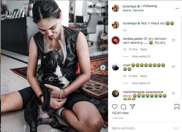 Luna Maya dan anjingnya (Instagram.com/lunamaya)