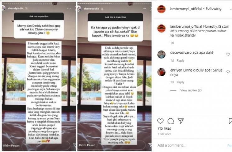 Shandy Aulia tanggapi putrinya sering dihujat (Instagram.com/lamberumpi_official)