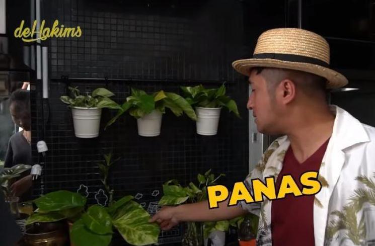 Kebun di rumah Soimah. (Youtube/deHakims)