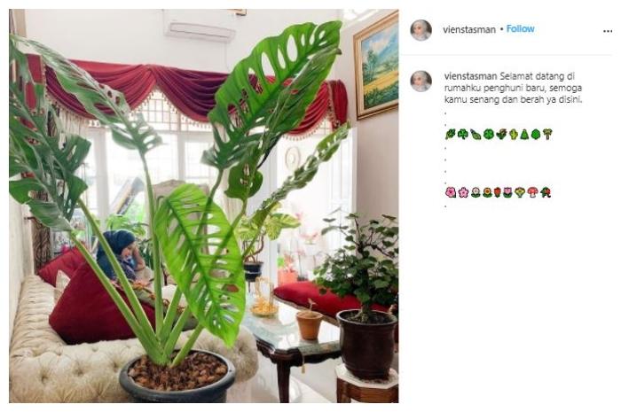 Rumah ibu Rachel Vennya. (Instagram/@vienstasman)