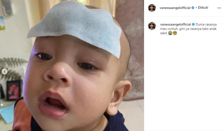 Anak Vanessa Angel sakit (Instagram/@vanessaangelofficial)