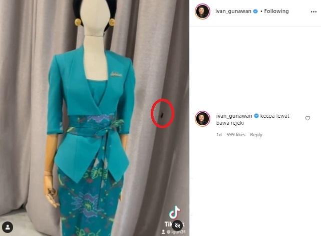 Kecoa di video Ivan Gunawan bikin salfok. (Instagram/@ivan_gunawan)