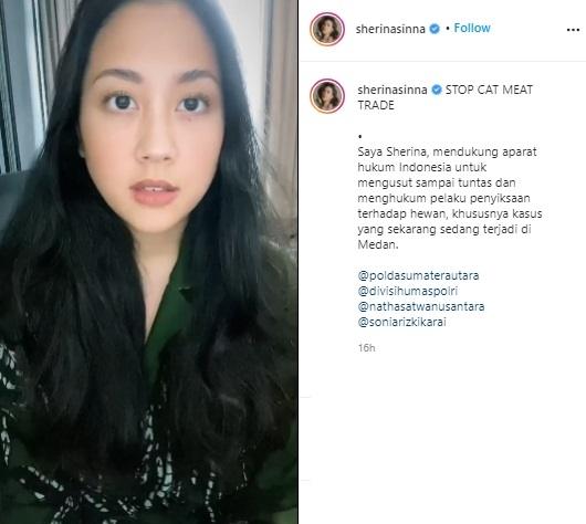 Sherina Munaf. (Instagram/@sherinasinna)