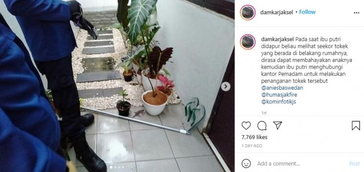 Postingan @damkarjaksel (Instagram.com)