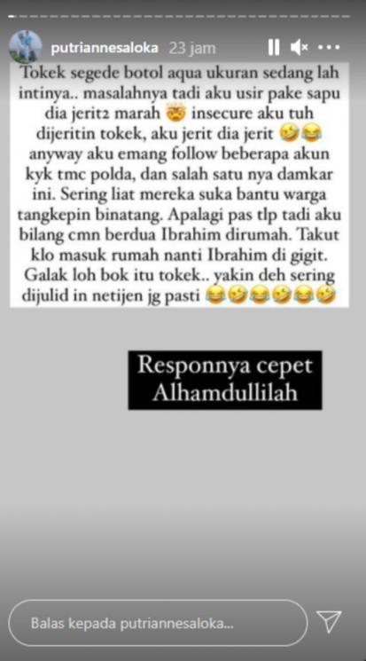 Postingan Putri Anne (Instagram.com)