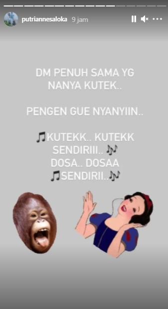 Postingan Instagram Story Putri Anne (Instagram.com)