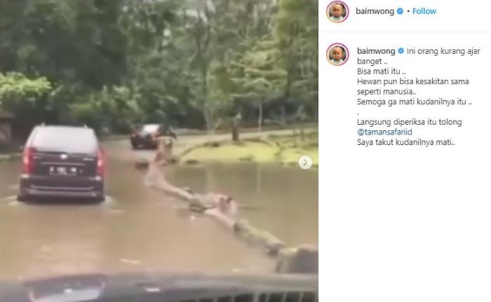 Baim Wong komentari pengunjung lempar sampah ke kuda nil. (Instagram/@baimwong)