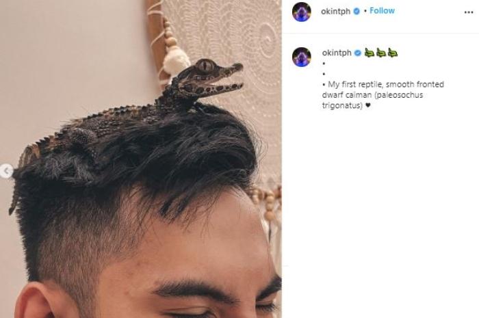 Niko Al Hakim pelihara buaya. (Instagram/@okintph)