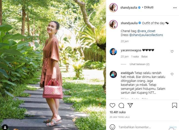 Shandy Aulia (Instagram.com)
