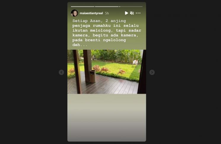Maia Estianty ungkap keanehan anjing penjaganya. (Instagram/maiaestiantyreal)