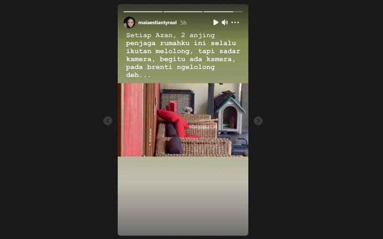 Maia Estianty ungkap keanehan anjing penjaganya. (Instagram/maiaestiantyreal)
