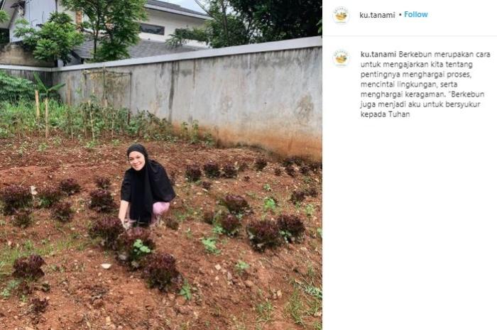 Istri Haykal Kamil, Tantri Namirah jadi petani kota. (Instagram)