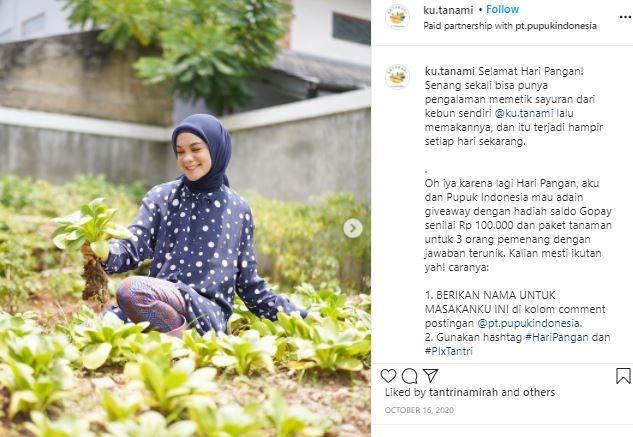 Istri Haykal Kamil, Tantri Namirah jadi petani kota. (Instagram)