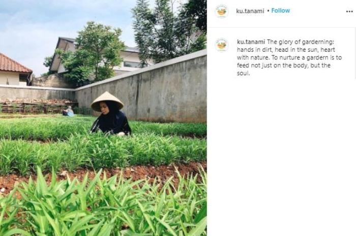 Istri Haykal Kamil, Tantri Namirah jadi petani kota. (Instagram)