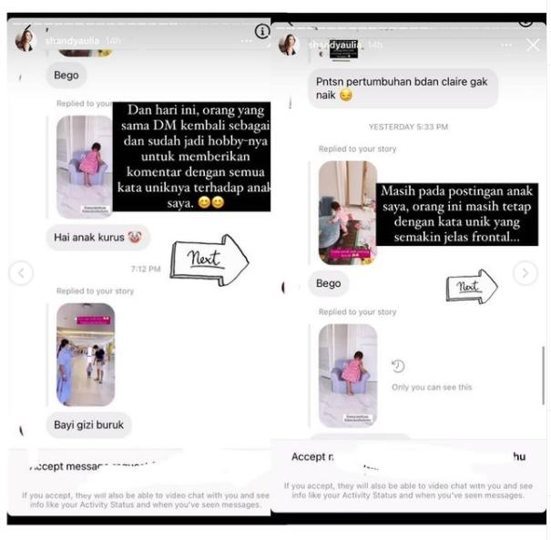 Shandy Aulia respons DM netizen yang mencibir anaknya. (Instagram/shandyaulia)
