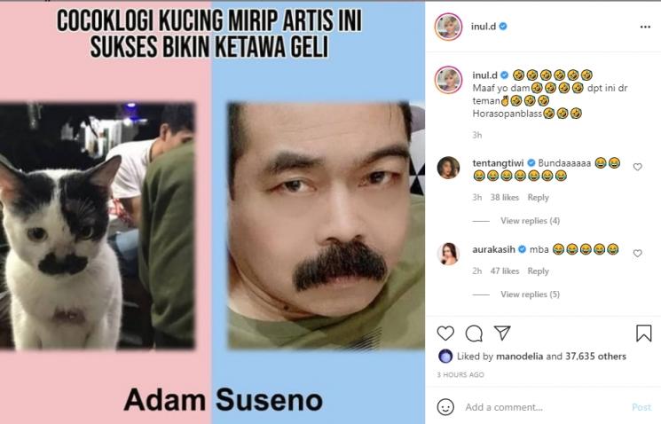 Inul Daratista sandingkan foto kucing dengan Adam Suseno. (Instagram/inul.d)